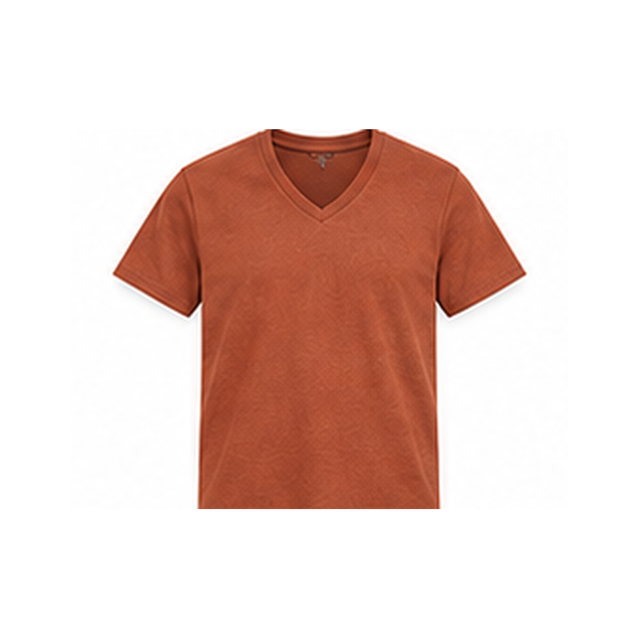 V-Neck T-Shirt
